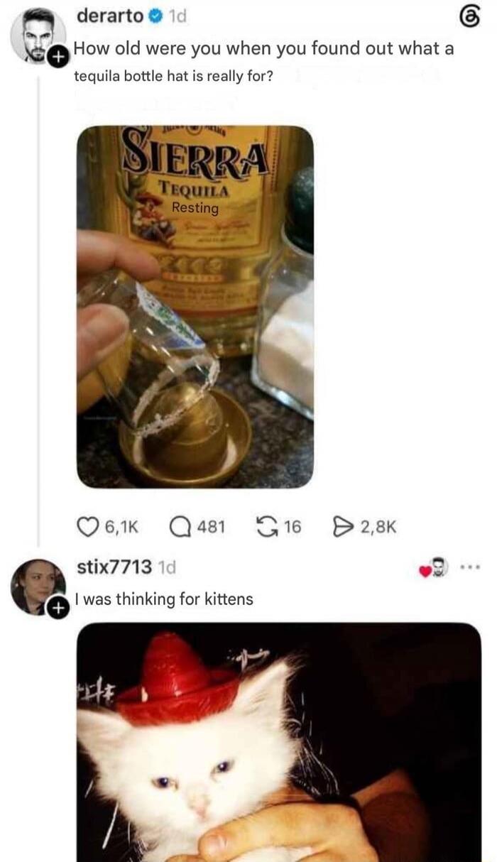 How old were you when you found out what a tequila bottle hat is really for? SIERRA TEQUILA Resting. I was thinking for kittens.