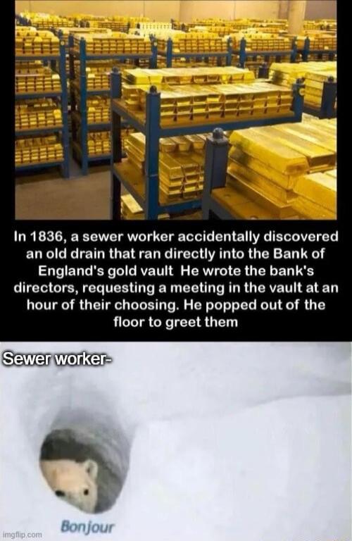 In 1836 a sewer worker accidentally discovered an old drain that ran directly into the Bank of Englands gold vault He wrote the banks directors requesting a meeting in the vault at an hour of their choosing He popped out of the floor to greet them SEENETE Bonjour