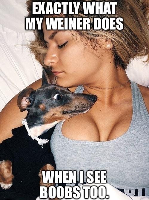 EXACTLY WIIAI