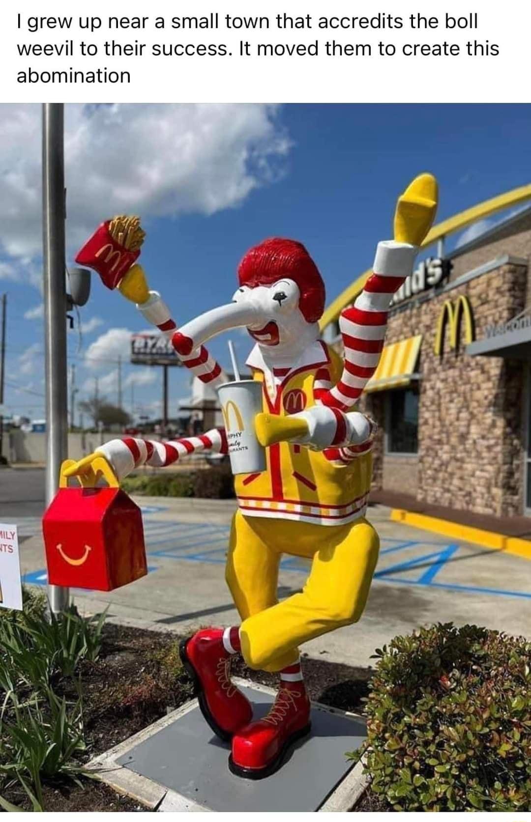 grew up near a small town that accredits the boll weevil to their success It moved them to create this abomination P