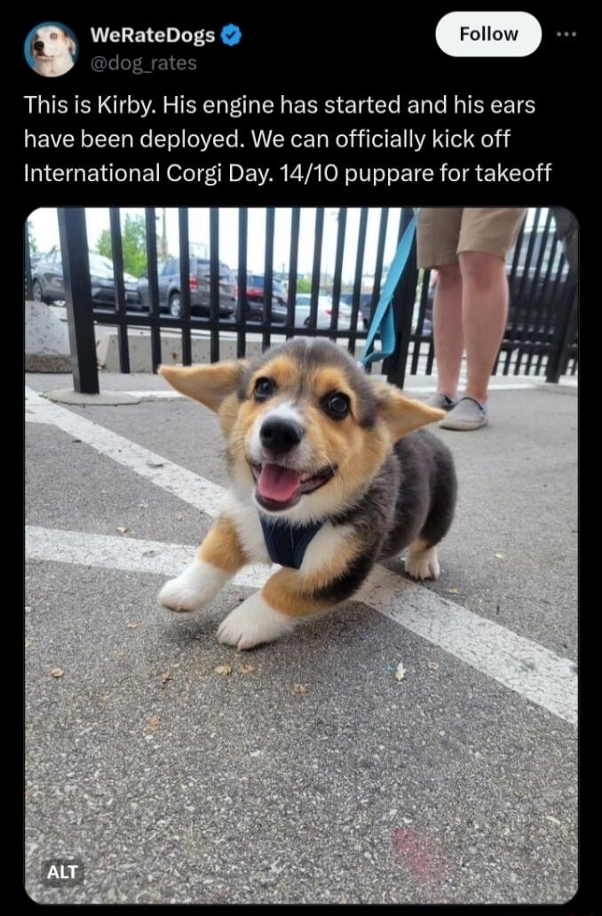 WeRateDogs This is Kirby His engine has started and his ears have been deployed We can officially kick off International Corgi Day 1410 puppare for takeoff