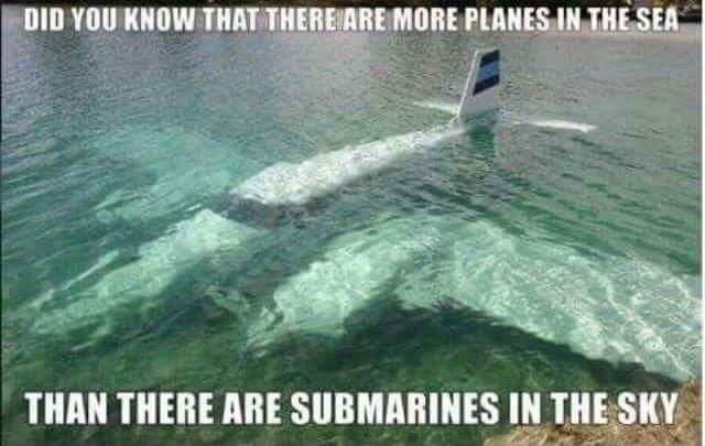 DID YOU KNOW THAT THEREAREMORE Plniw THAN THERE ARE SUBMARINES IN SIY T