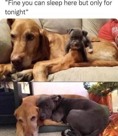 Ine you can sleep here but only for tonight