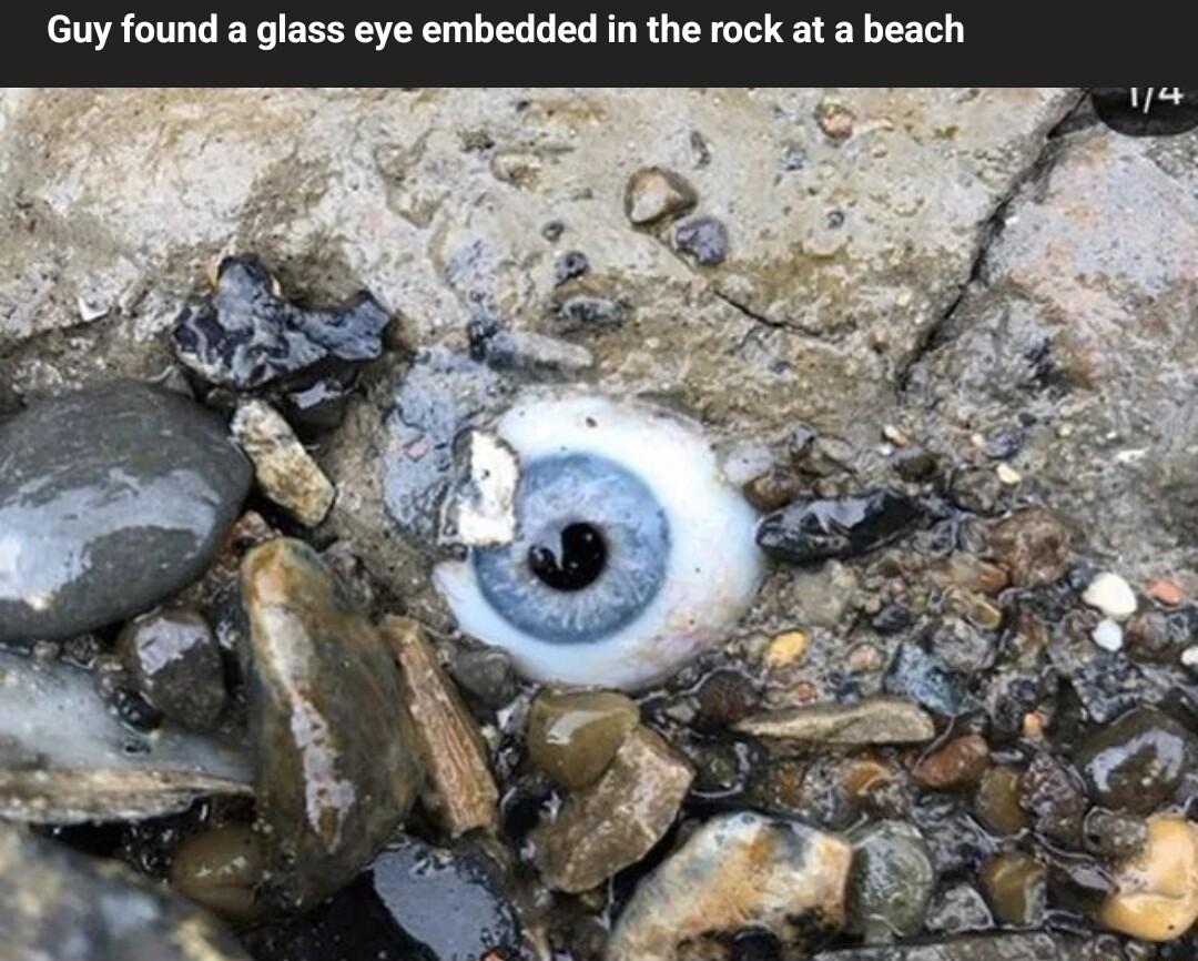 Guy found a glass eye embedded in the rock at a beach
