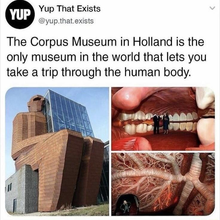 The Corpus Museum in Holland is the only museum in the world that lets you take a trip through the human body.