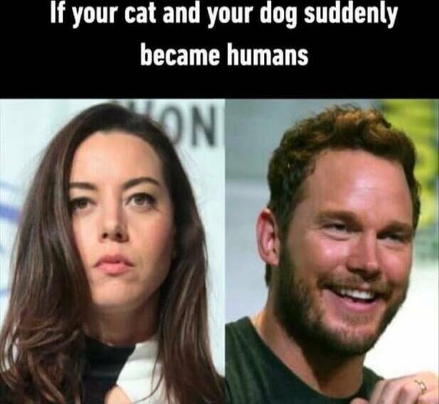 If your cat and your dog suddenly became humans