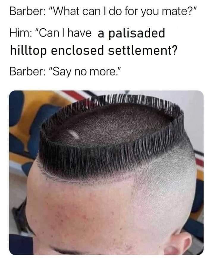 Barber What can do for you mate Him Can have a palisaded hilltop enclosed settlement Barber Say no more