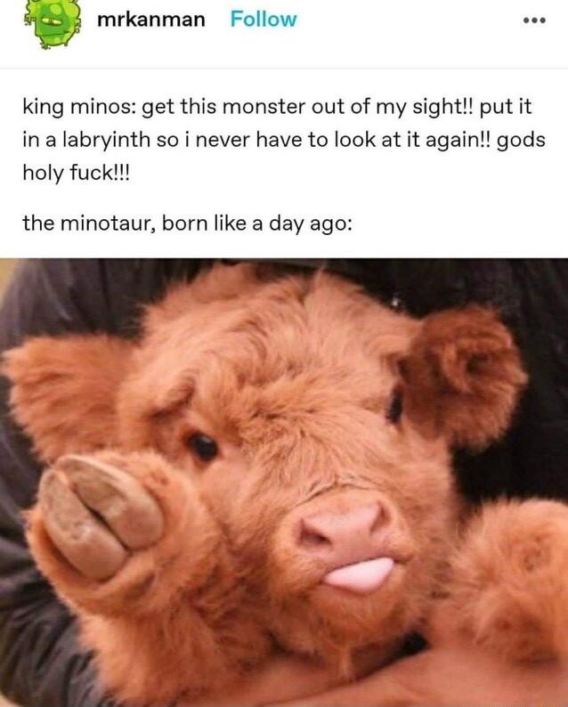 i mrkanman Follow king minos get this monster out of my sight put it ina labryinth so i never have to look at it again gods holy fuckll the minotaur born like a day ago