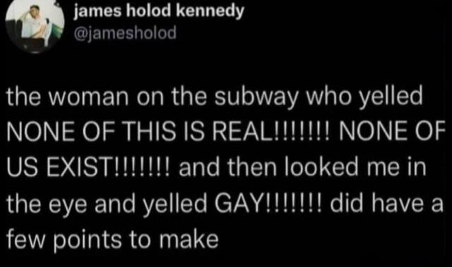 the woman on the subway who yelled NONE OF THIS IS REAL!!!!!! NONE OF US EXIST!!!!!! and then looked me in the eye and yelled GAY!!!!!! did have a few points to make