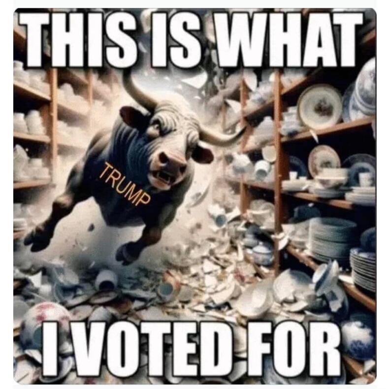 THIS IS WHAT TRUMP I VOTED FOR
