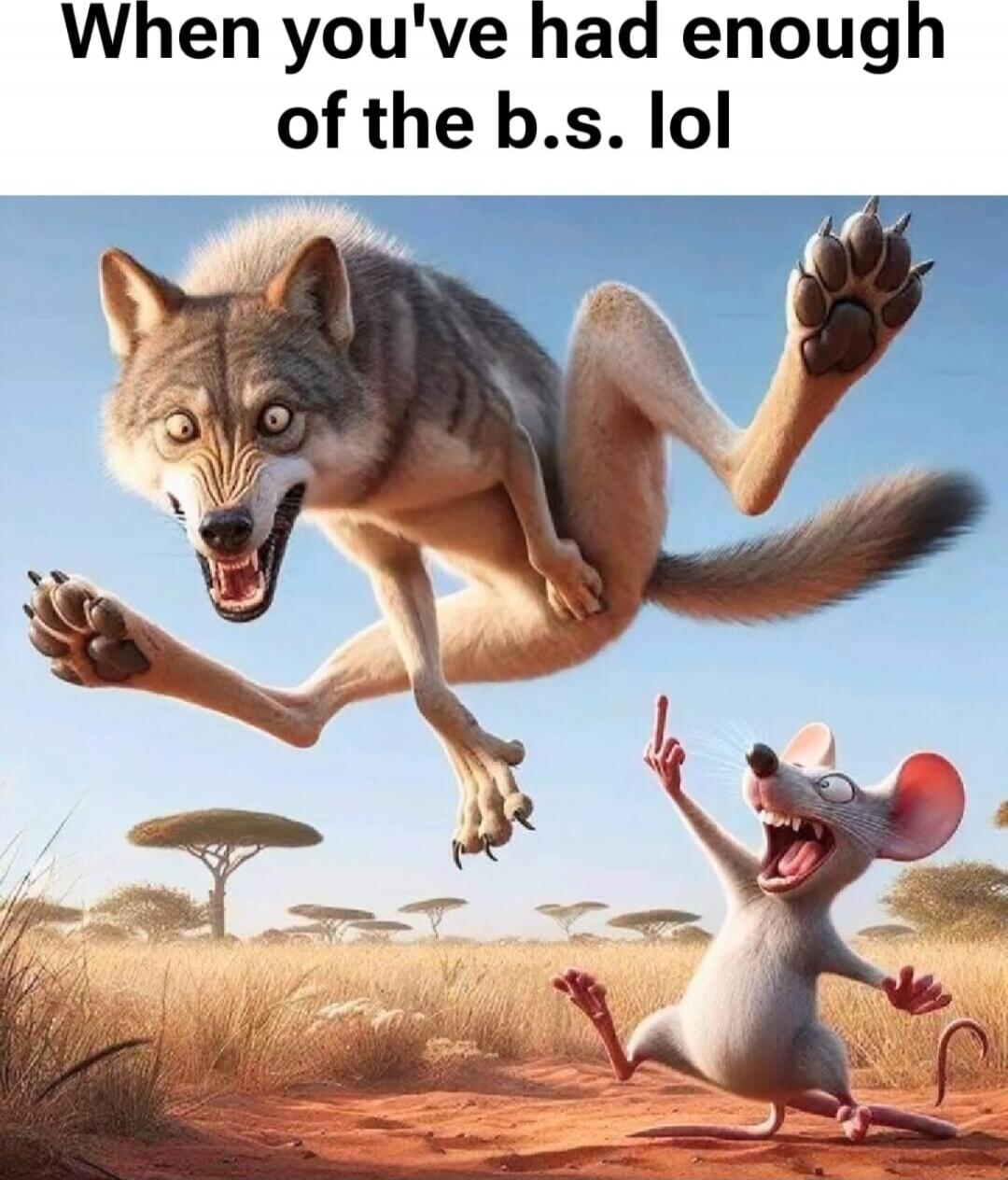 When you've had enough of the b.s. lol