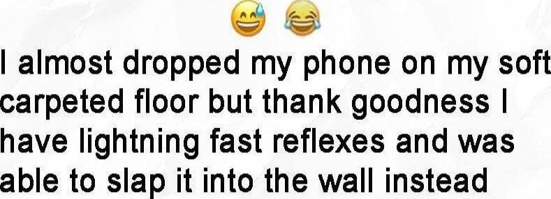 😂😂 I almost dropped my phone on my soft carpeted floor but thank goodness I have lightning fast reflexes and was able to slap it into the wall instead