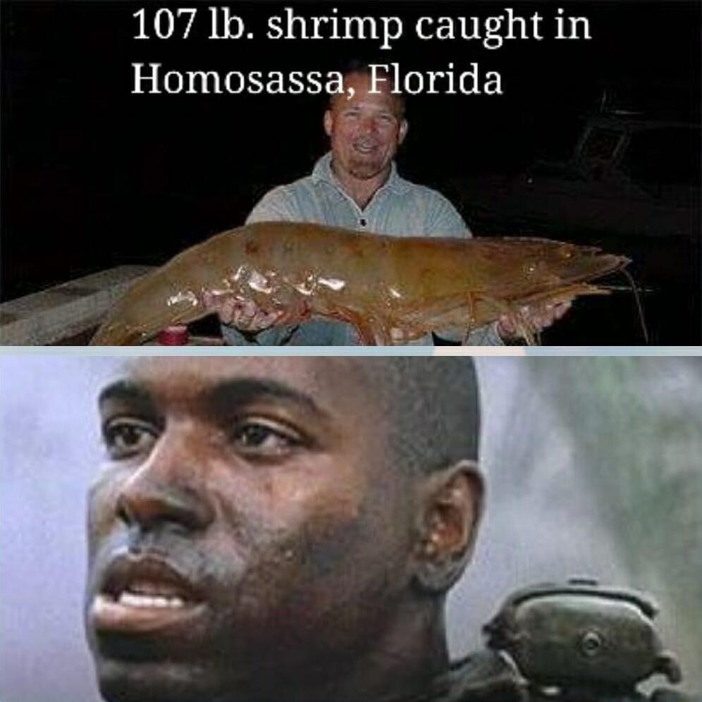 107 1b shrimp caught in 3 D GEEREEM S0 GE