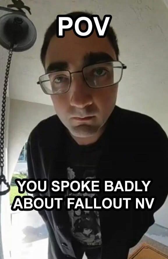 POV YOU SPOKE BADLY ABOUT FALLOUT NV