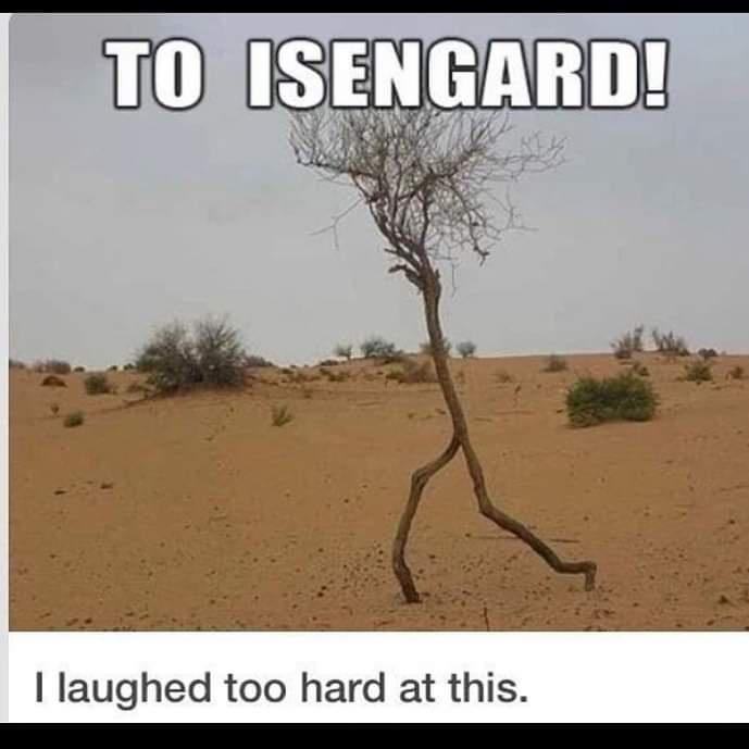 D L Nk X laughed too hard at this