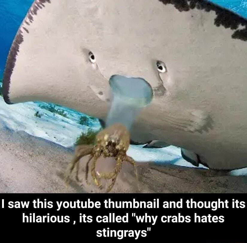 wel 1 saw this youtube thumbnail and thought its hilarious its called why crabs hates QLI EVES