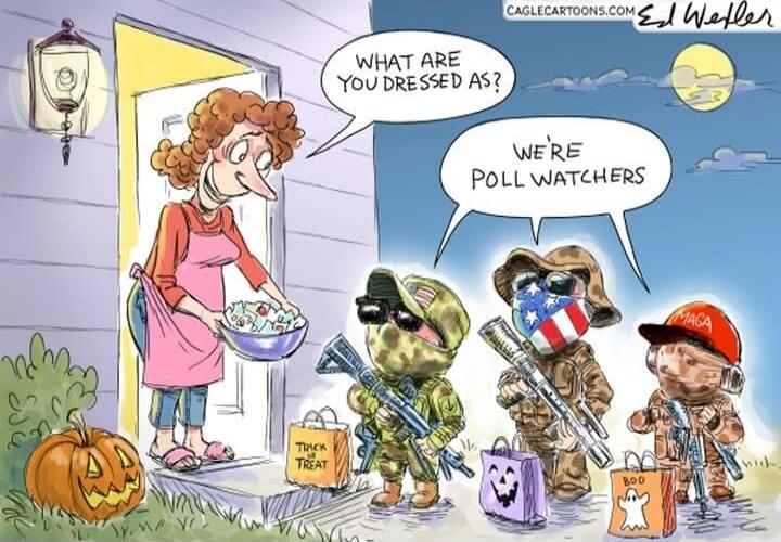 What are you dressed as? 
We're poll watchers