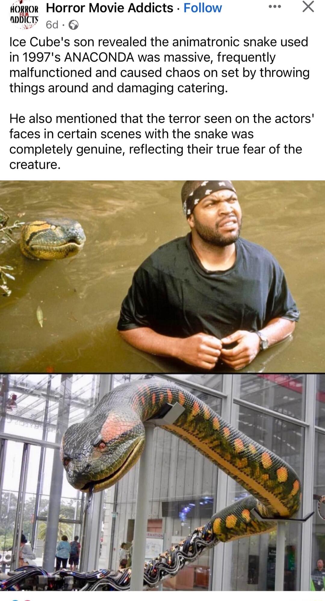 fioggor Horror Movie Addicts Follow X T 646 Ice Cubes son revealed the animatronic snake used in 1997s ANACONDA was massive frequently malfunctioned and caused chaos on set by throwing things around and damaging catering He also mentioned that the terror seen on the actors faces in certain scenes with the snake was completely genuine reflecting their true fear of the creature