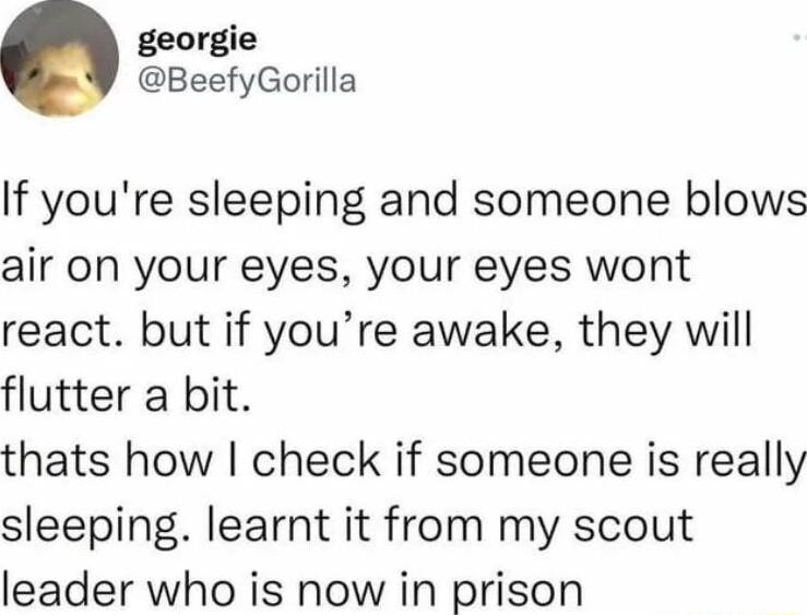 georgie BeefyGorilla If youre sleeping and someone blows air on your eyes your eyes wont react but if youre awake they will flutter a bit thats how check if someone is really sleeping learnt it from my scout leader who is now in prison