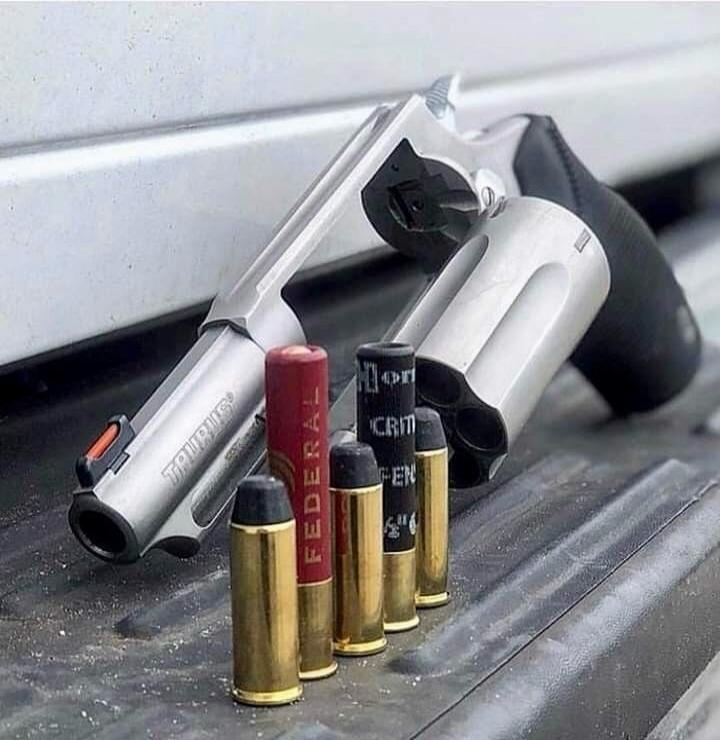 A silver handgun resting on a truck bed with multiple brass-colored cartridge cases standing upright. One red-topped cartridge labeled 'FEDERAL' is visible among several black-topped and gold-topped cases.