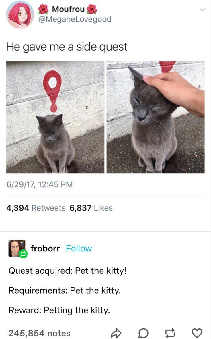 Moufrou MeganeLovegood He gave me a side quest 629171245 PM 4394 Retweets 6837 Likes E froborr Follow Quest acquired Pet the kitty Requirements Pet the kitty Reward Petting the kitty 245854 notes 2 0D 2 a