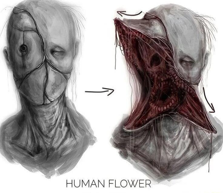 HUMAN FLOWER