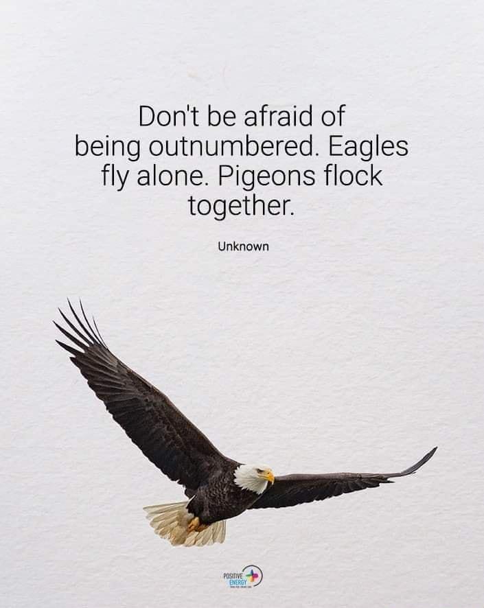 Dont be afraid of being outnumbered Eagles fly alone Pigeons flock together Unknown