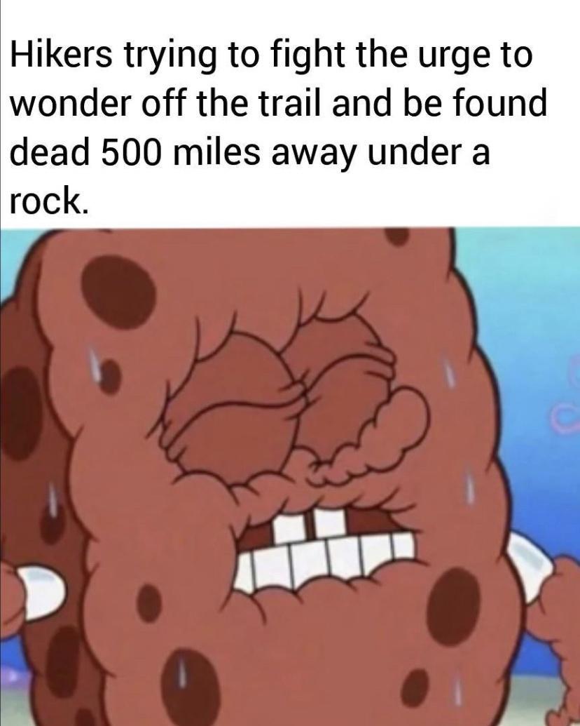 Hikers trying to fight the urge to wonder off the trail and be found dead 500 miles away under a rock