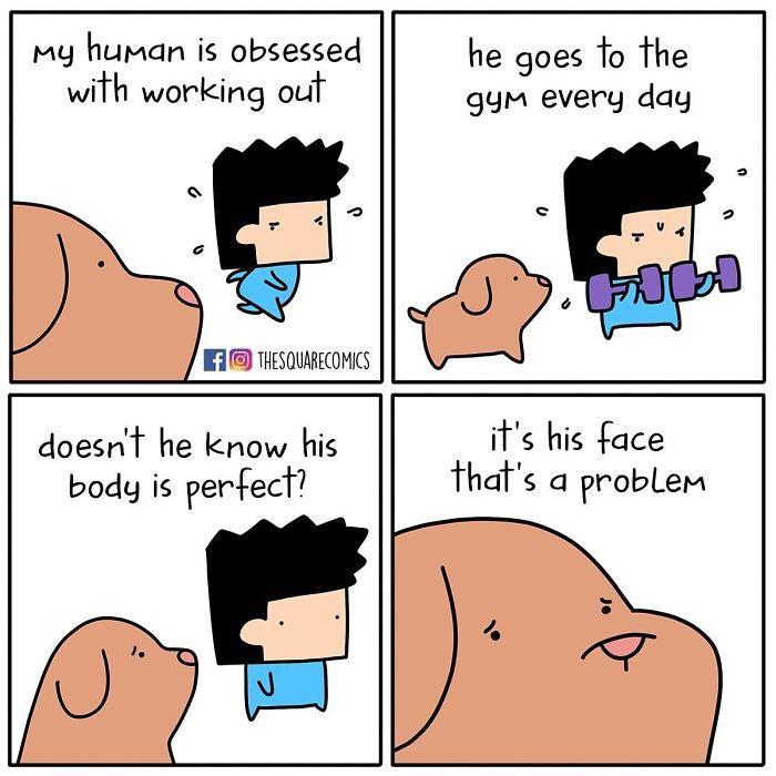 My human is obsessed with working out THESQUARECOMICS he goes To the gym every day doesnT he know his body is perfect its his face thats a problem