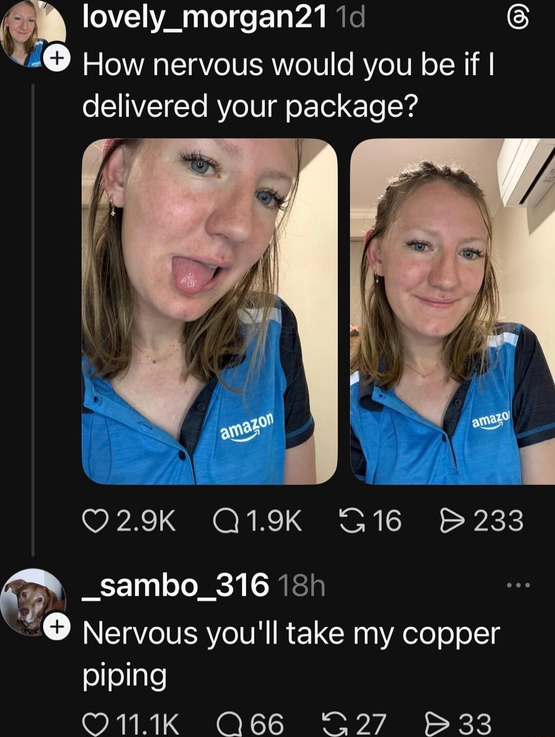 How nervous would you be if I delivered your package?

Nervous you'll take my copper piping