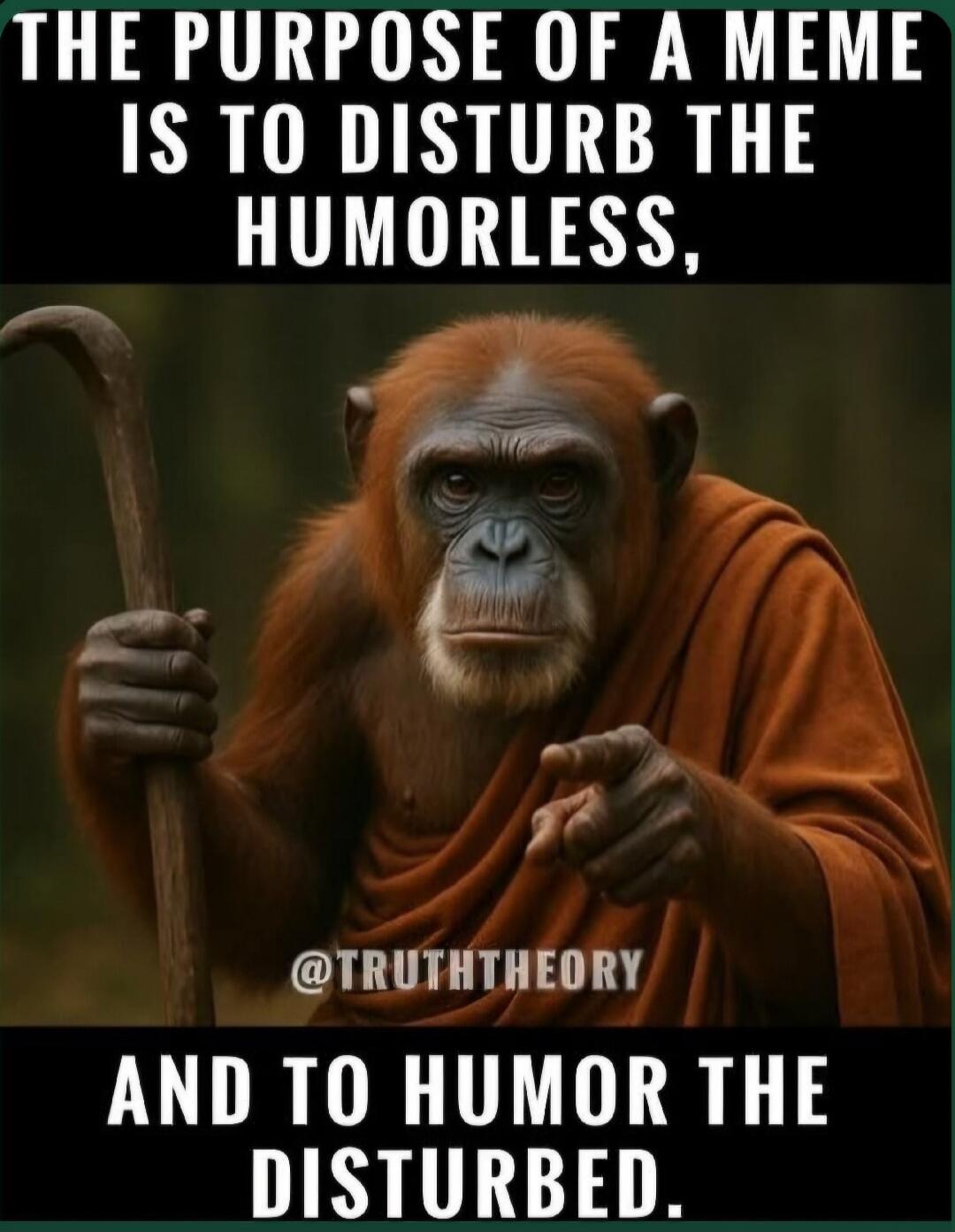The purpose of a meme is to disturb the humorless, and to humor the disturbed.