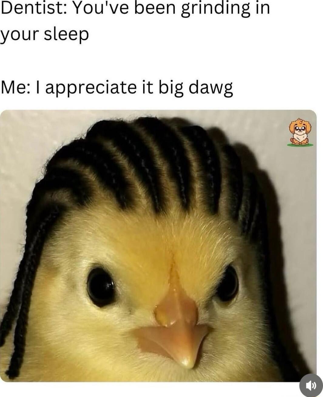 Dentist: You've been grinding in your sleep Me: I appreciate it big daw