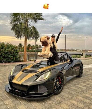 A woman stands beside a black and gold convertible sports car with a large dog perched on the hood, palm trees in the background. There is a small emoji sticker at the top of the image.
