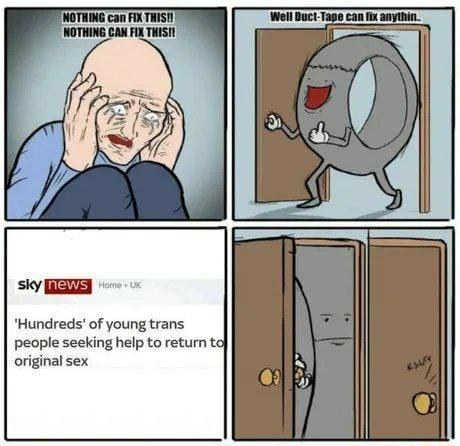 siy A Hundreds of young trans people seeking help to return ts original sex