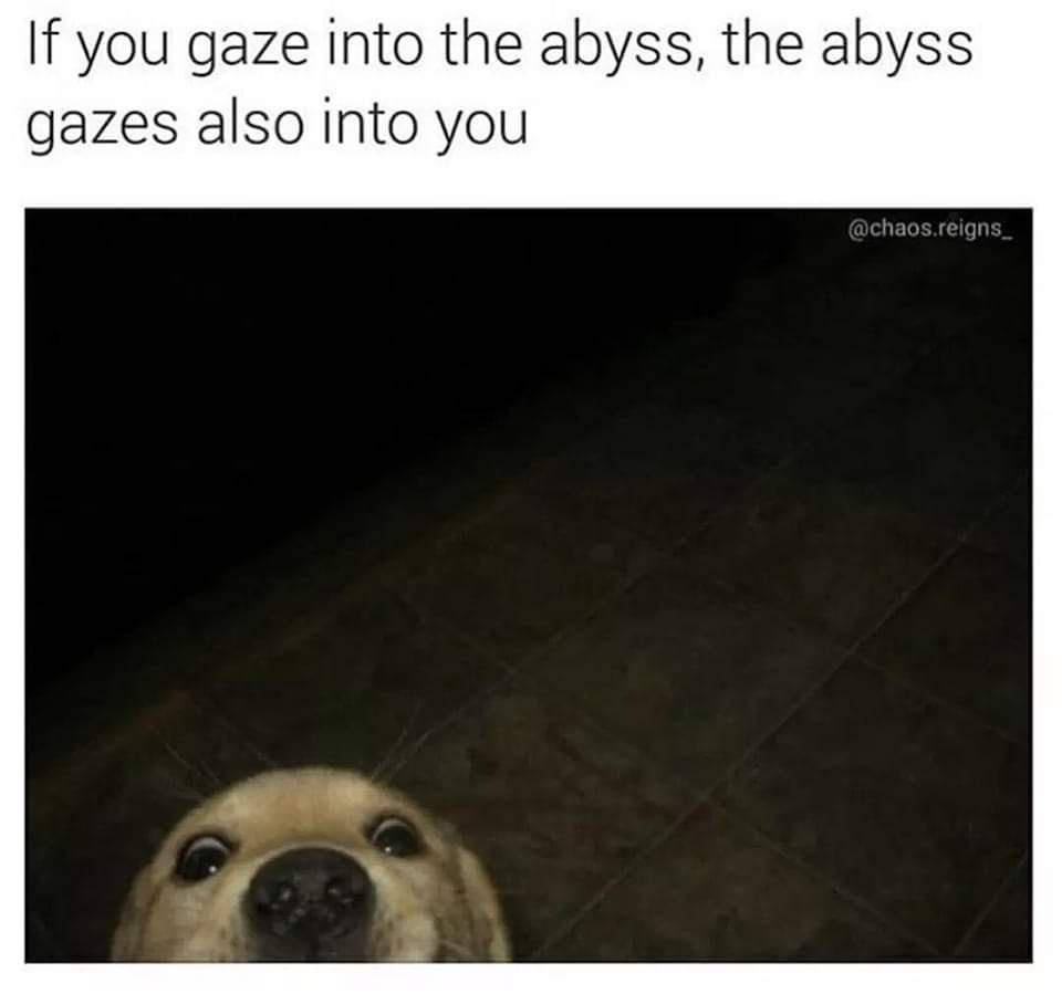 If you gaze into the abyss the abyss gazes also into you