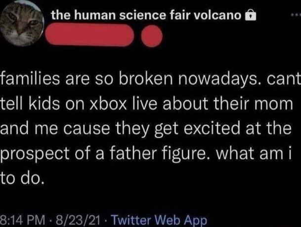 T_ the human science fair volcano D O families are so broken nowadays cant tell kids on xbox live about their mom and me cause they get excited at the prospect of a father figure what am i to do 814 PM 82321 Twitter Web App