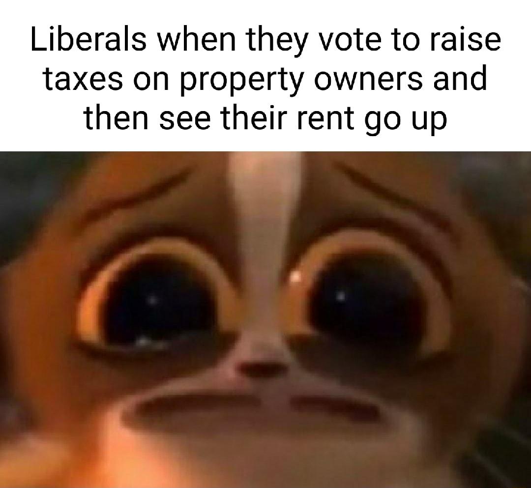 Liberals when they vote to raise taxes on property owners and then see their rent go up