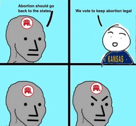 Abortion should go back to the 17 We vote to keep abortion legal