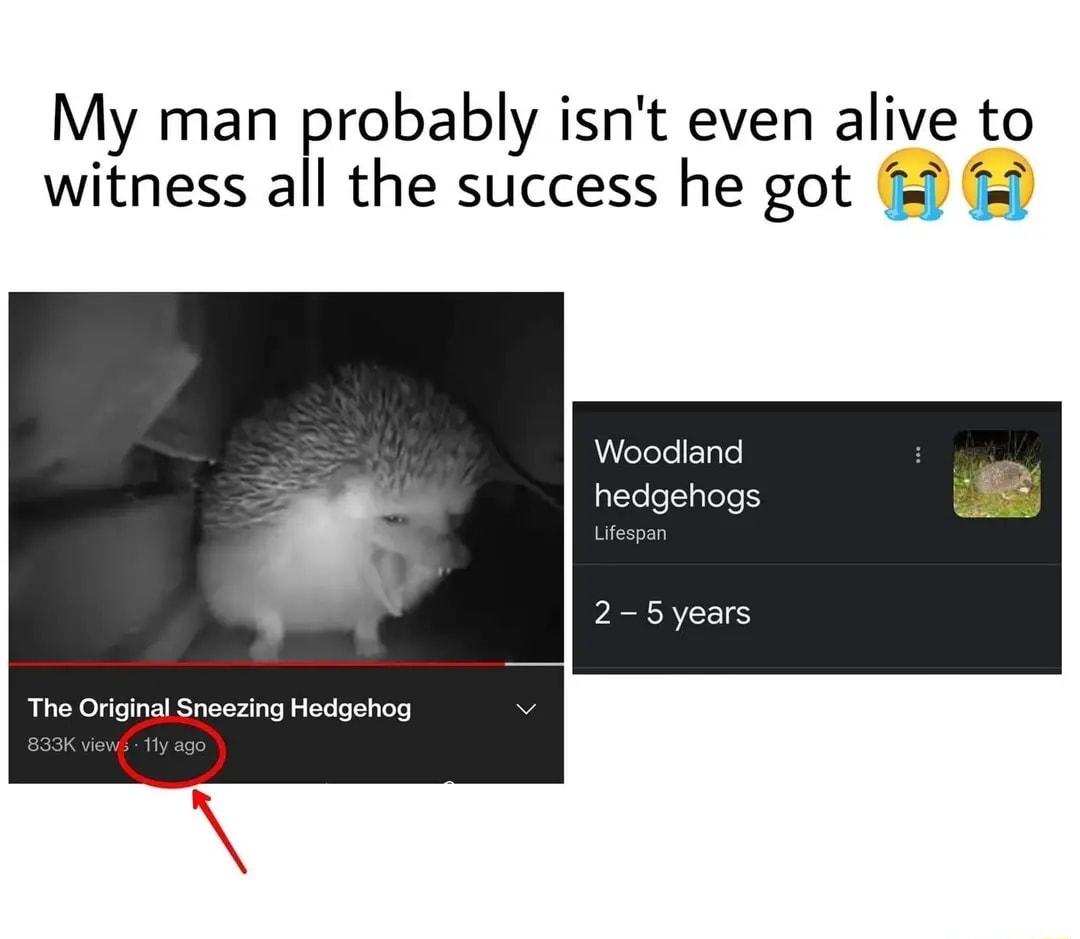 My man Frobaby isnt even alive to the success he got witness al