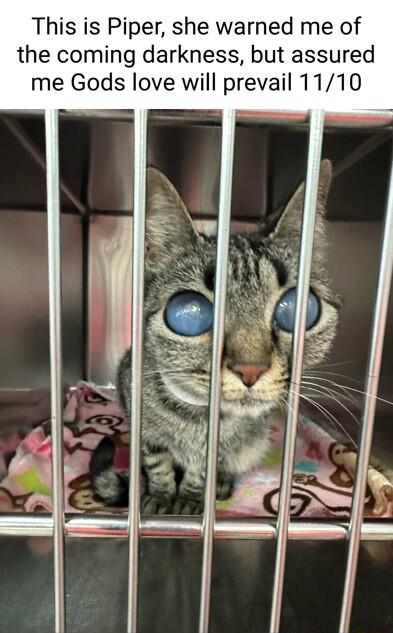 This is Piper she warned me of the coming darkness but assured me Gods love will prevail 1110