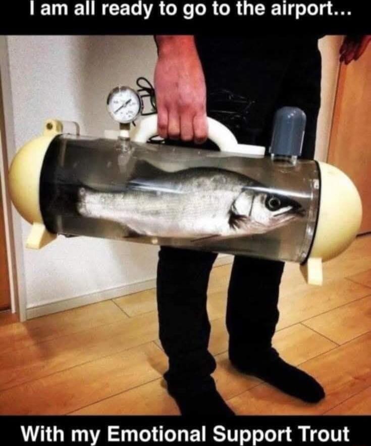 LT R LR e R e e oR o U 11 o le o S With my Emotional Support Trout