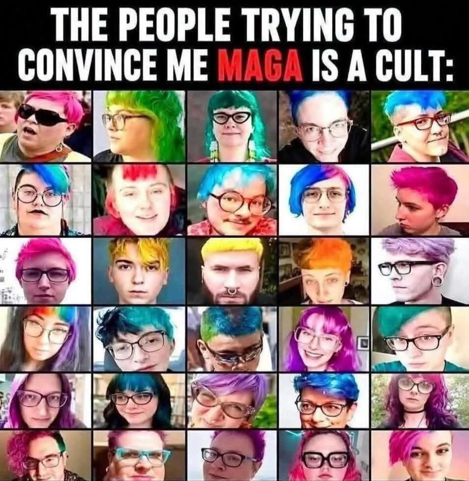 THE PEOPLE TRYING TO CONVINCE ME MAGA IS A CULT: