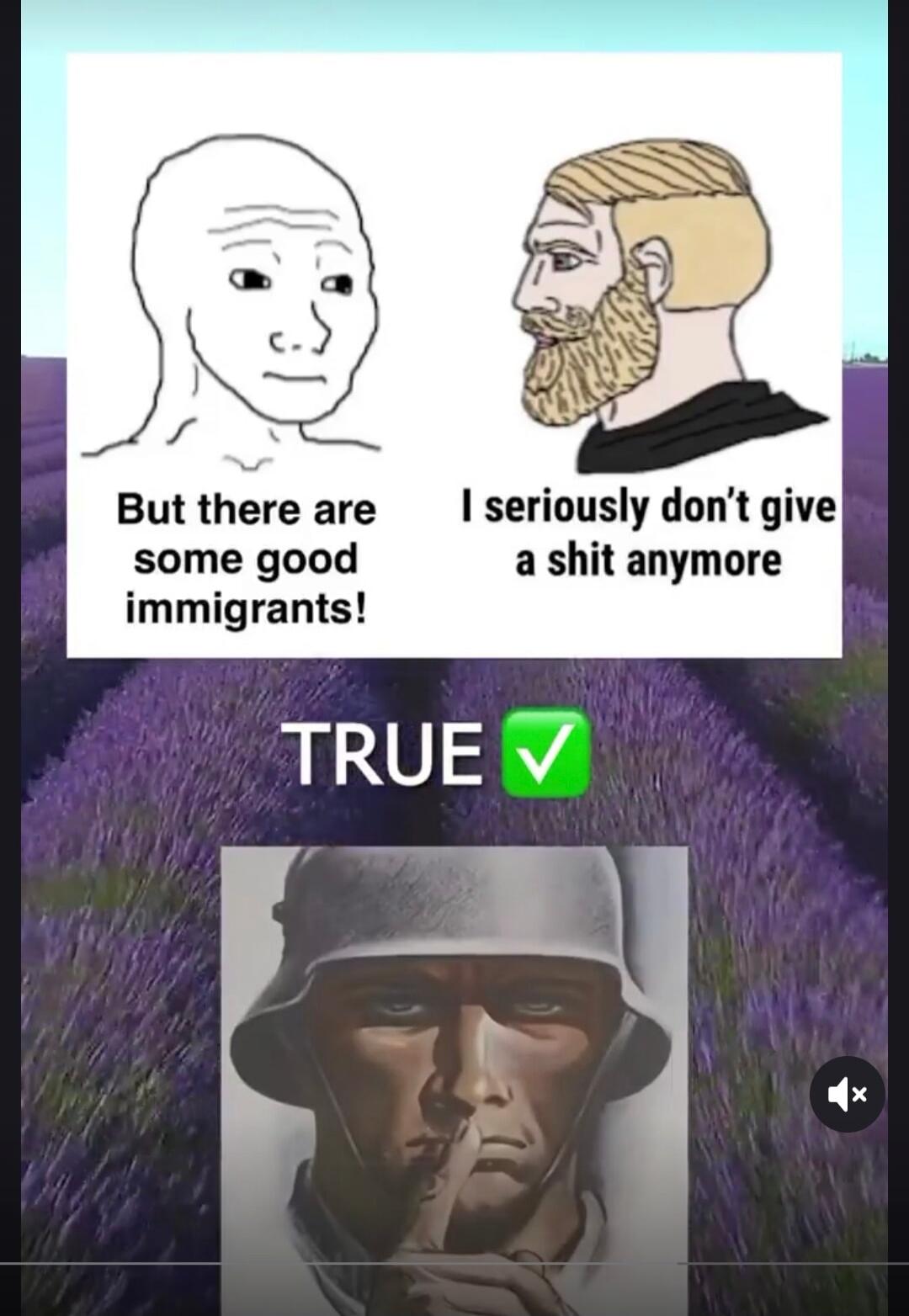 But there are some good immigrants! I seriously don't give a shit anymore\nTRUE ✓