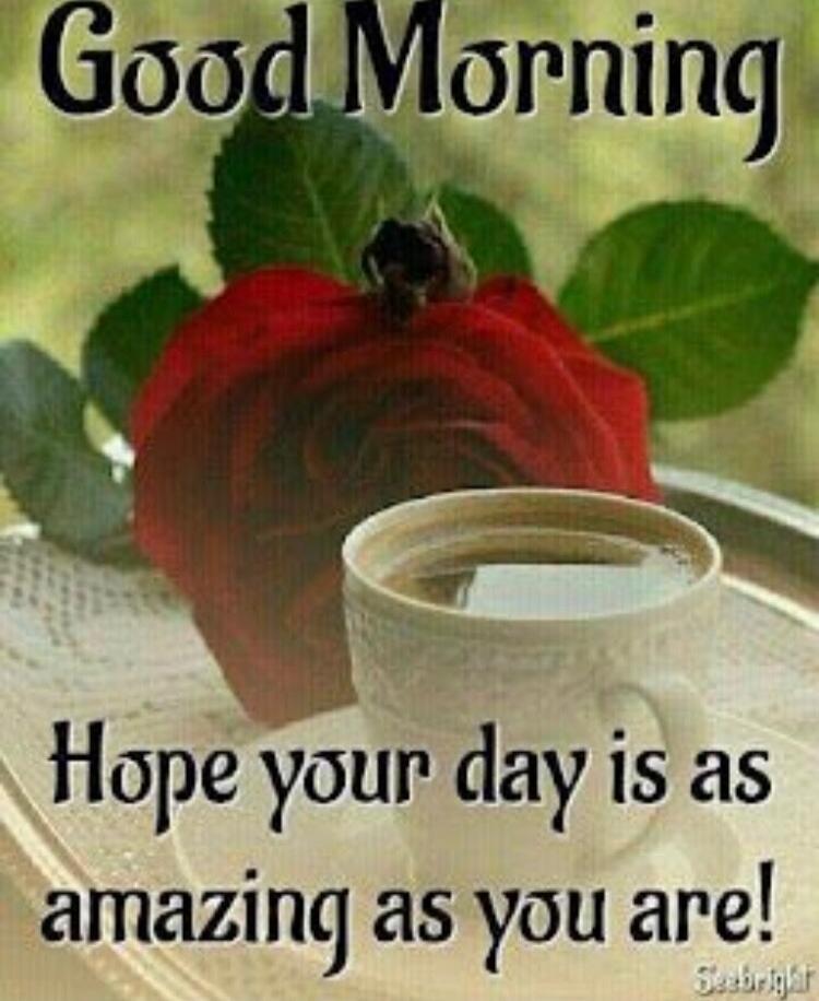 Good Morning
Hope your day is as amazing as you are!