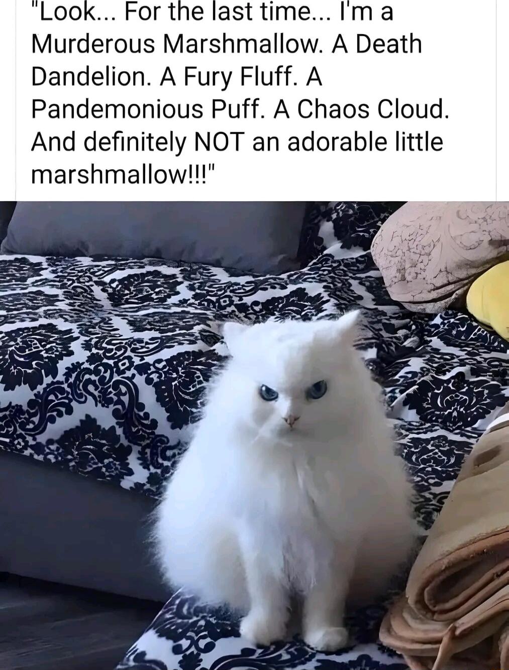 Forthe last time Im a Murderous Marshmallow A Death Dandelion A Fury Fluff A Pandemonious Puff A Chaos Cloud And definitely NOT an adorable little marshmallow