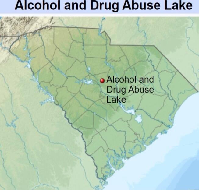 25 4 oAleohol and G Drug Abuse Lake