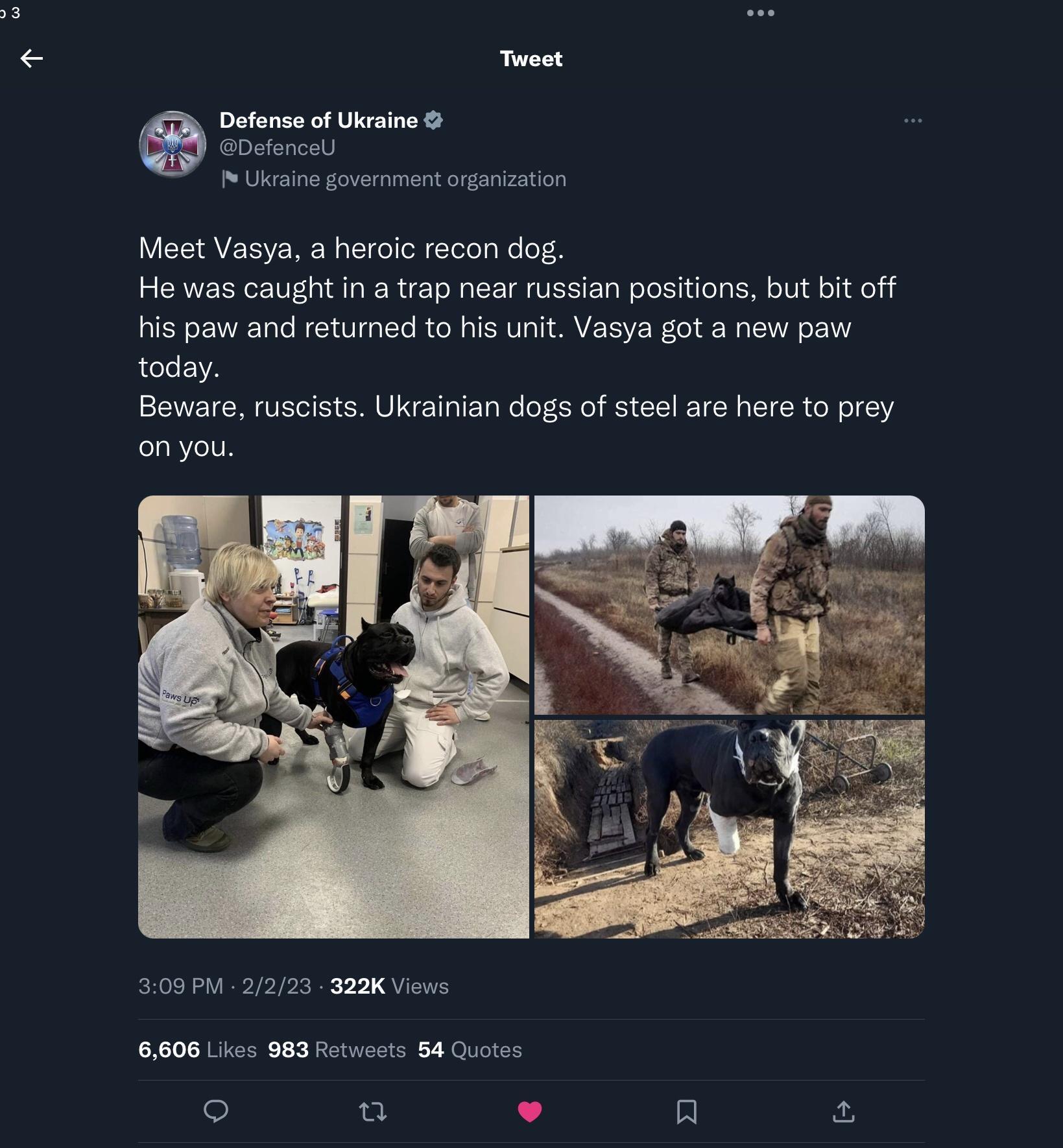 Detense of kraine EDefonce Ukcing govarnmant argaization Meet Vasya a heroic recon dog He was caught in a trap near russian positions but bit off his paw and retumned to his unit Vasya got a new paw today Beware ruscists Ukrainian dogs of steel are here to prey onyou 30aPM 212 a2V 08 Likes 983 Rtwests 84 Quotse o a a