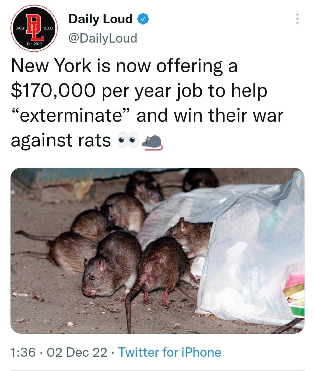 Daily Loud y DailyLoud New York is now offering a 170000 per year job to help exterminate and win their war against rats a 136 02 Dec 22 Twitter for iPhone 6567 Retweets 5917 Quote Tweets 978K Likes