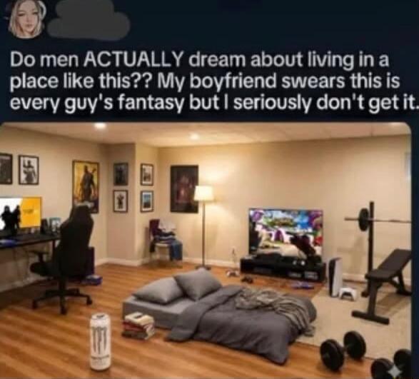 Do men ACTUALLY dream about living in a place like this? My boyfriend swears this is every guy's fantasy but I seriously don't get it.
