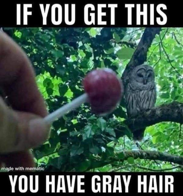 IF YOU GET THIS YOU HAVE GRAY HAIR made with mematic